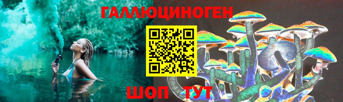 Псилоцибиновые грибы прущие грибы Ахтубинск